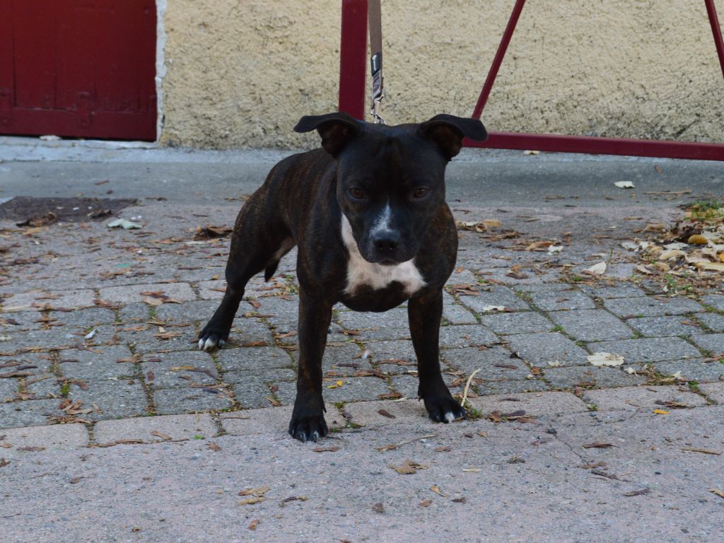 Abyss Of Enki Anahera mohoao