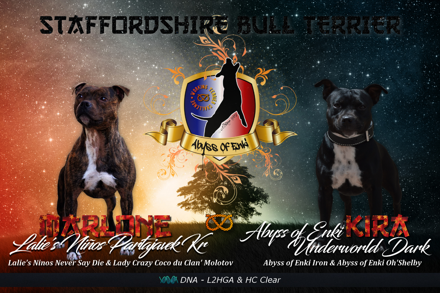 Mariage 2026 - Uniquement sur réservation !